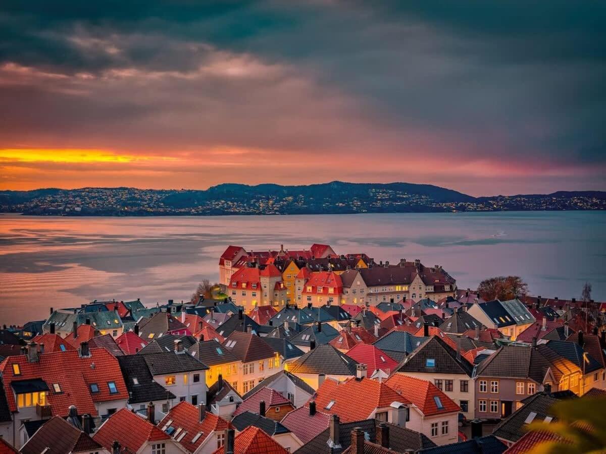 Dinbnb L 50 Meters To Bryggen L New 2023 L Sunny Backyard